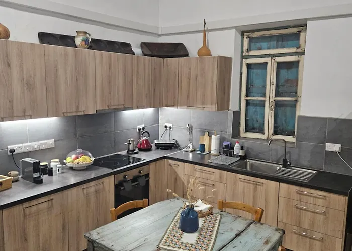 Traditional Adobe House In Evrychou With Cozy Garden And Fireplace! * 尼科西亚