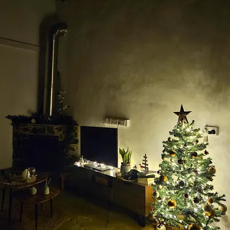 Traditional House Near Troodos For Families And Nature Lovers!