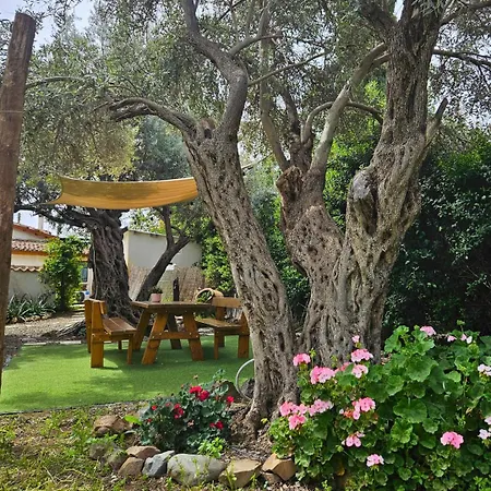 Traditional House Near Troodos For Families And Nature Lovers! نيقوسيا