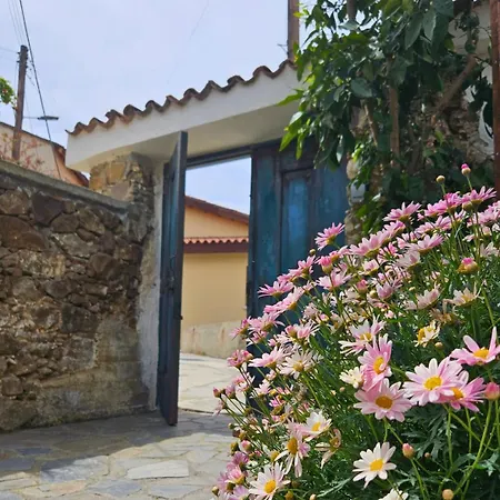 Traditional House Near Troodos For Families And Nature Lovers! نيقوسيا