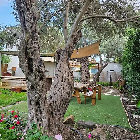 Traditional House Near Troodos For Families And Nature Lovers!
