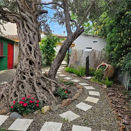 بيت للعطل Traditional House Near Troodos For Families And Nature Lovers!