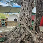 Traditional Adobe House In Evrychou With Cozy Garden And Fireplace!