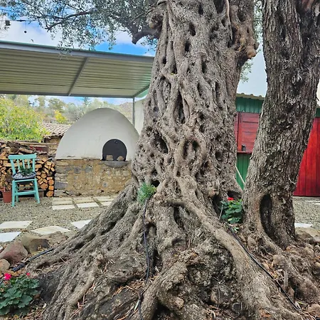 Traditional House Near Troodos For Families And Nature Lovers!
