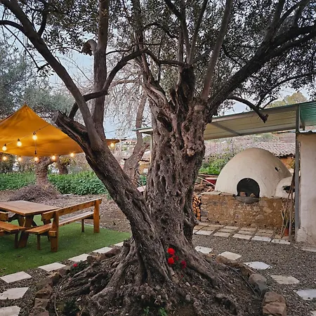 Traditional House Near Troodos For Families And Nature Lovers! *